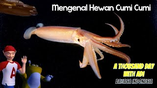 कुमी कुमी आई ए थाउजेंड डे विद एडी इंडोनेशियन screenshot 5