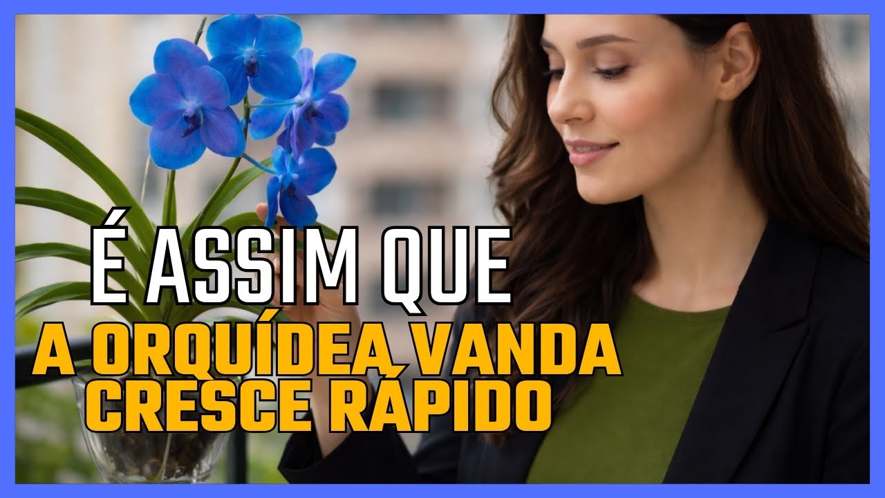 🌿Pouca gente sabe, mas é assim que a Vanda cresce rápido|Orquídea vanda 🌿