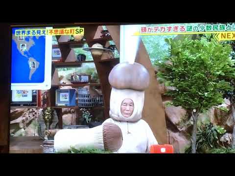 世界まる見え 放送事故