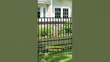 Mẹo thiết kế hàng rào chống leo - Đẹp mà an toàn