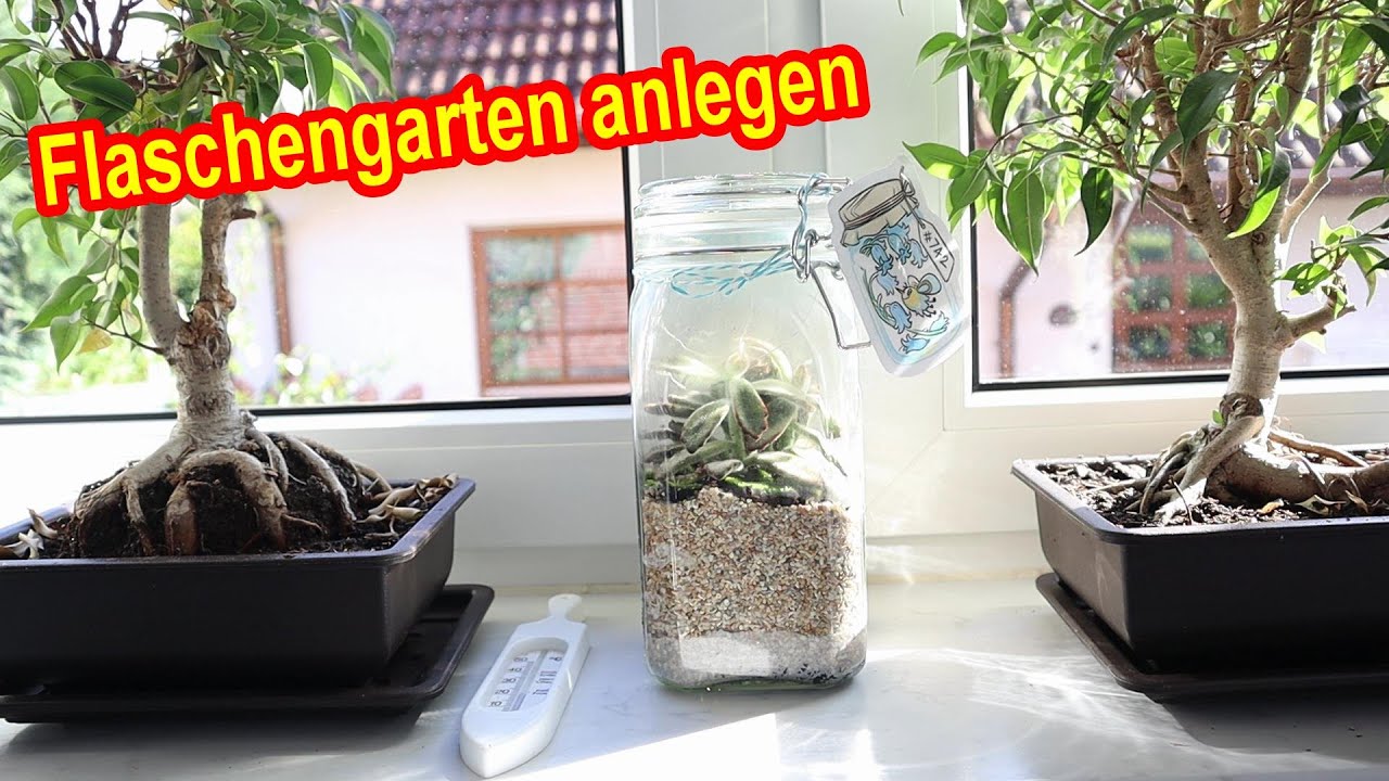 Flaschengarten anlegen Anleitung  DIY Flaschengarten selber machen mit  Pflanzen & Moos