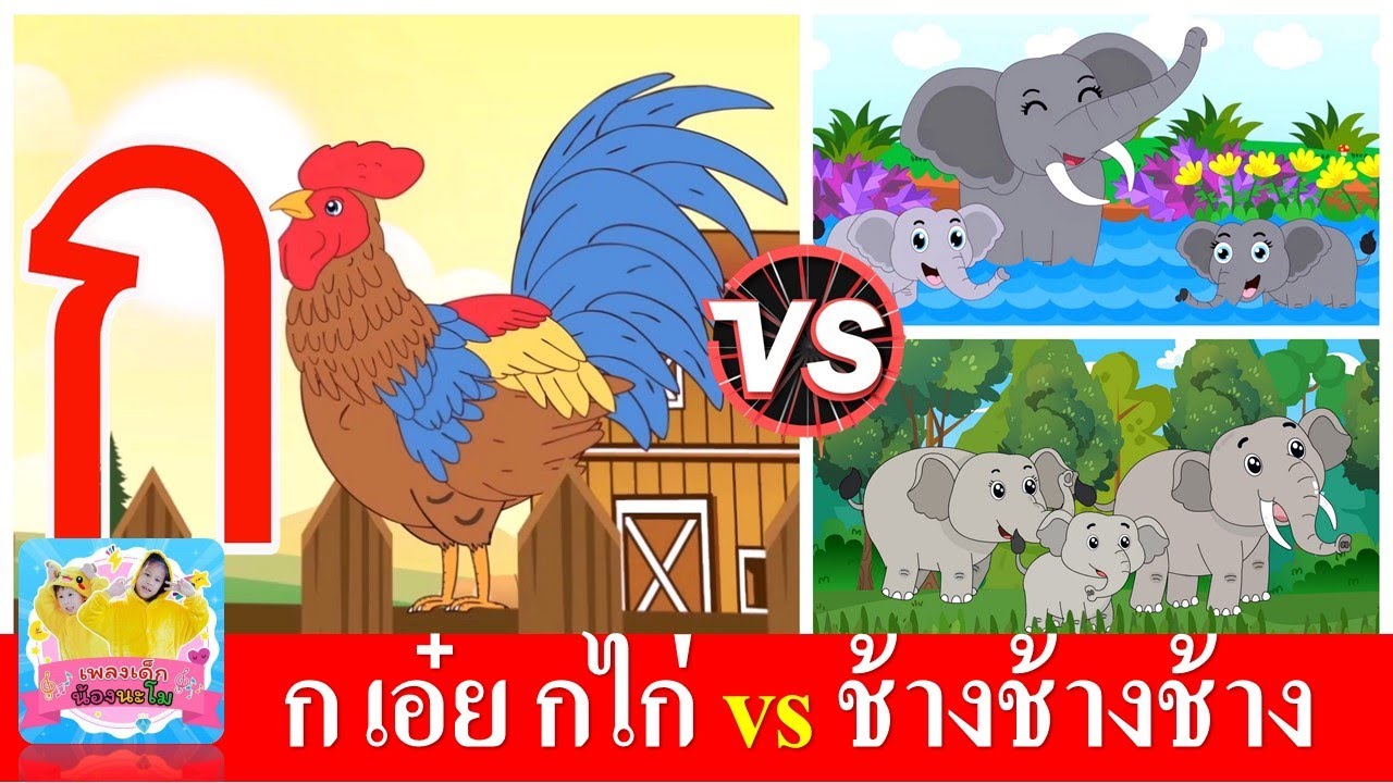 ก เอ๋ย กไก่ vs ช้างช้างช้าง