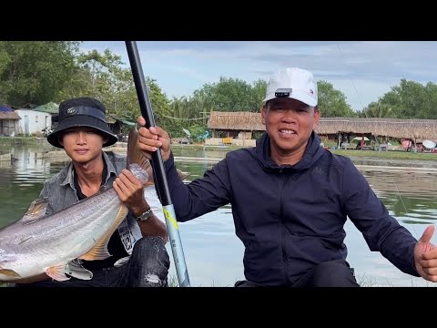 Câu cá tra bằng cần tay test cần mới | Chung Nguyễn Fishing