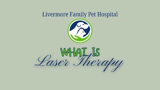 Daisy's Laser Therapy