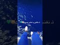 Ш Щ Ш Щ Щ Ш ШЄ Ш Щ Щ ЩЉ Щ Щ Ш Ш ЩЃЩ Ш вќ Ш Щ Ш Щ Щ Ш ШЄ Ш Щ Щ ЩЉ Щ Щ Ш Ш ЩЃЩ Ш вќ