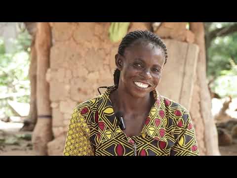 Part 1: They Refused to Give Up: Inside Nigeria’s Boldest Agroforestry Project