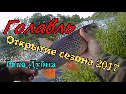 Голавль Открытие сезона 2017 . Река Дубна 