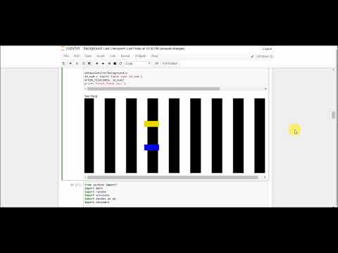vpython-project footstep illusion
