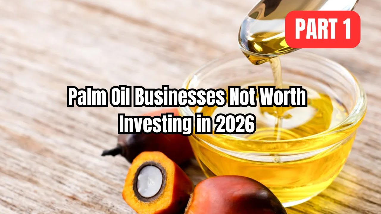 Palm Oil Businesses Not Worth Investing in 2026 | Part 1