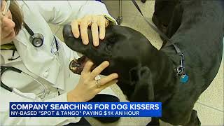 Pet company offers $1K an hour to smell dog breath and rate kisses