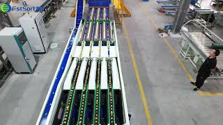 Jujube weight grading machine