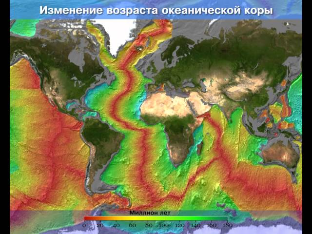 океанические и континентальные плиты