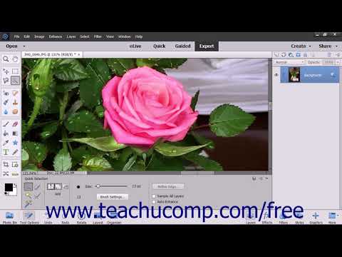 Photoshop Elements 2018 Tutorial The Quick Selection Tool Adobe Training