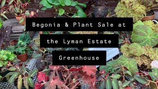 Begonia & Plant Sale at the Lyman Estate Greenhouse