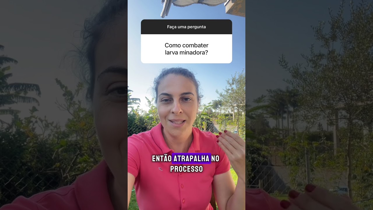 Como controlar mosca minadora