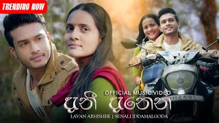 Lavan Abhishek X Senali Iddamalgoda - Dani Danena දන දනන Official Music Video
