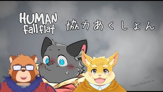 【コラボHuman Fall Flat】協力、してこっか！【猫星はるき/身代マコト/日葵ときと】