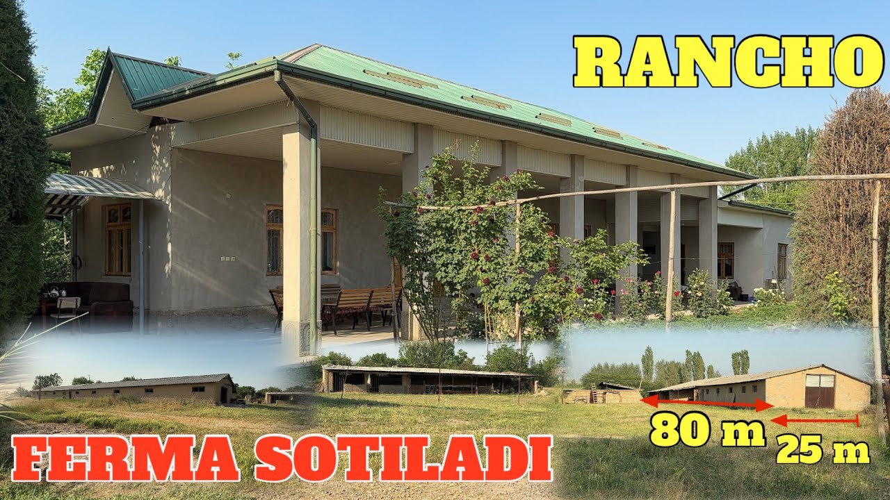 FERMA SOTILADI 1GEKTARLIK SUV SVET BOR YANGI TOSHKENTDAN 2 km UZOQLIKDA SHAROITLARI A'LO DARAJADA.