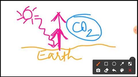 Deforestation and its consequences, Class 8