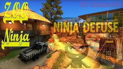 Cs GO ZOO Ninja defuse. (with decoy only)