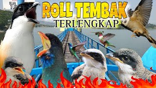 MASTERAN CENDET ROLL TEMBAK 🔴 FULL TEMBAKAN KEKINIAN TERLENGKAP