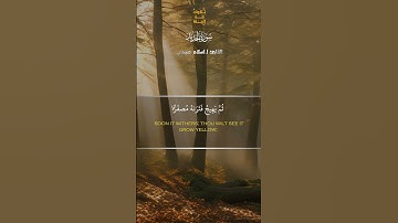 خشوع وتدبر | استمع لسورة الحديد بصوت القارئ إسلام صبحي