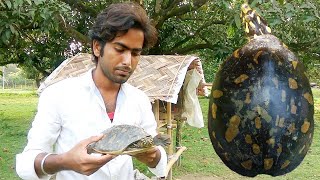 Indian Flapshell Turtle Rescue And Released: इंडियन कछुआ