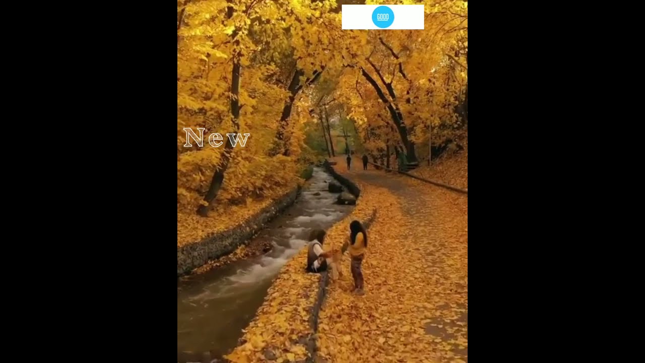 Golden fall in Almaty! |Almaty, Kazakhstan | New Dream