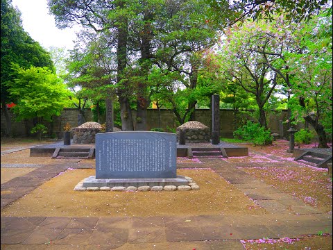 谷中墓地は明治期開設の都立霊園で、寺町景観と著名人墓所が歴史を伝える場所。 みんなのアルバム