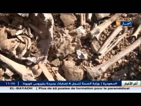 تبسة جماجم و بقايا هياكل عظمية مرمية في العراء 