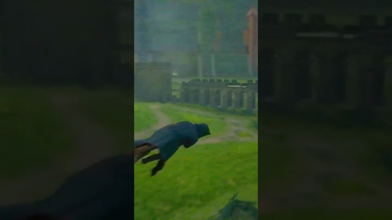 Hogwarts Legacy Tokyo Drift broom🔥🔥 