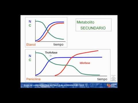 Vídeo: Diferencia Entre Metabolitos Primarios Y Secundarios