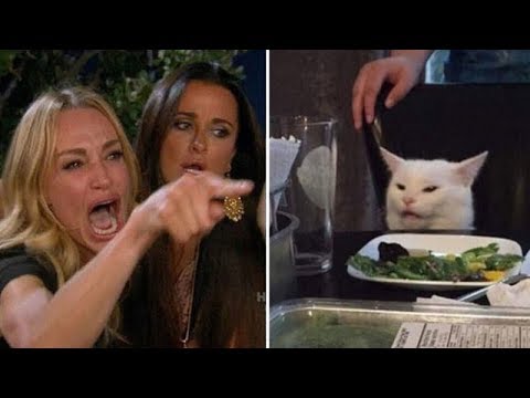 woman-yelling-at-cat-meme