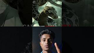 Most dangerous animals 🐍in Amazon jungle 😨| #shorts #facts
