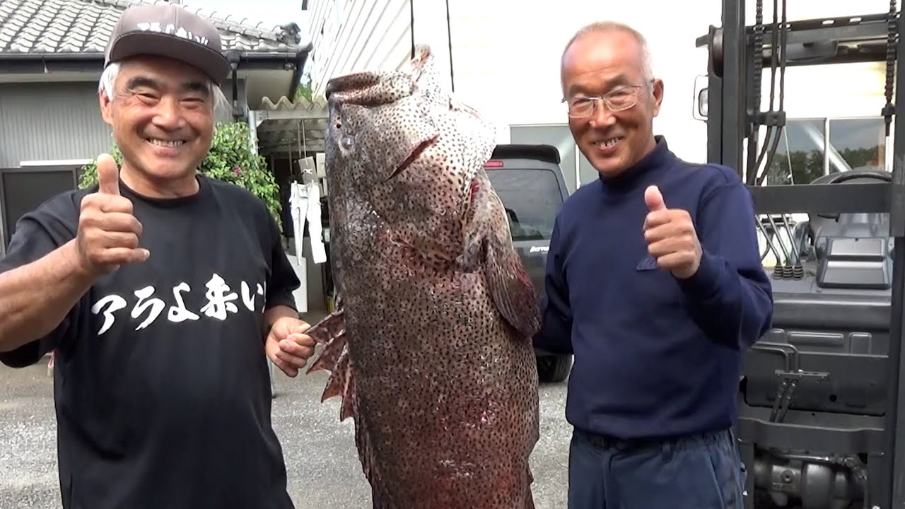 クエ【アラ】 鹿児島県佐多岬　最高の磯飯企画！アラ鍋は最高👍　Ara Grouper Hot Pot at Cape Sata – Epic Shore Meal!