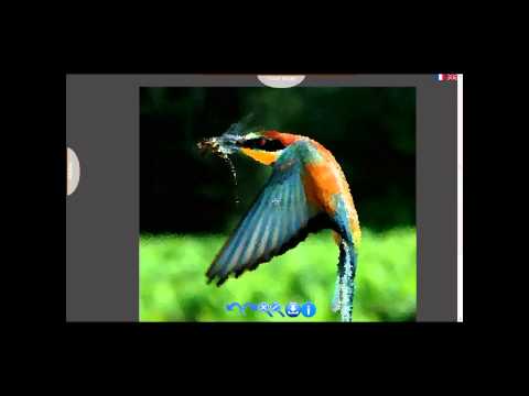 Easy Picture Editor (projet ESILV d'année 4, option 3i)