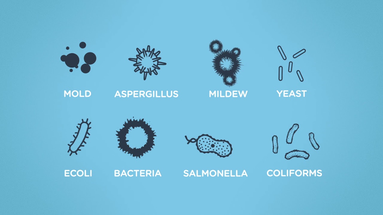 The Organic Cannabis Kill-Step | Willow Industries