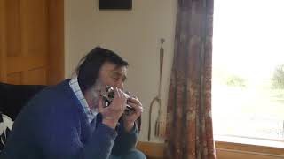 Watersound Shore (Fran Gray) Hohner tremolo sextet harmonica A Major