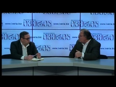 საუბარი პროფესიონალთან\" -- საქართველო ევროკავშირისკენ მიმავალ გზაზე