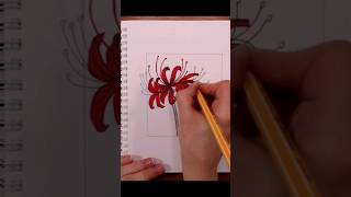 Drawing Red Spider Lily #art #shorts #anime #manga #speedpaint #illustration #flowers #ink #sketch