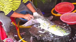 The Mahi-Mahi Or Common Dolphinfish Cutting