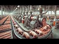 How Billions Of Tons Of Sausage Are Made Millions Of Pigs Processed In Factory Production 