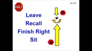 317. HALT - Leave - Recall - Finish Right – Sit