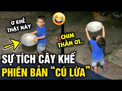 Video Nghe lời bố 'CẦM THAU XIN KHẾ' từ chim thần, cậu bé... - youtube