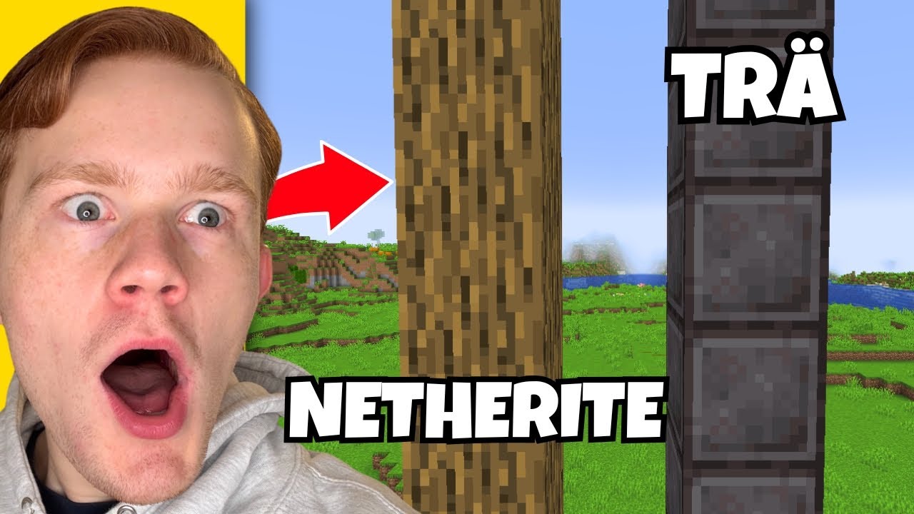 Jag Lurade Min Vän Med Att BYTA Netherite Och Trä i Minecraft..