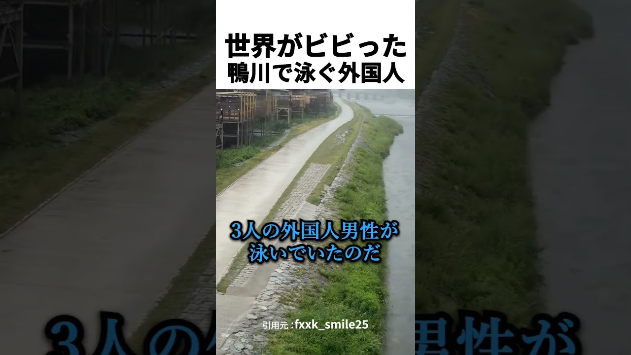 世界がビビった鴨川で泳ぐ外国人