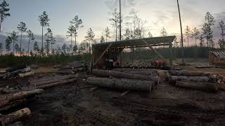 Timelapse Sunrise in NE FL TimberKing 1620 sawing up 2 logs!!