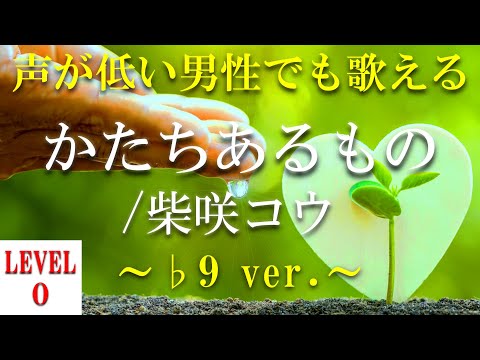 【声が低い人でも歌える?!】【歌ってみた?!】かたちあるもの／柴咲コウ  ～♭9 ver.～【+3のオク下】【音域：mid1C～mid2E(レベル0)】【フル】【歌詞付き】