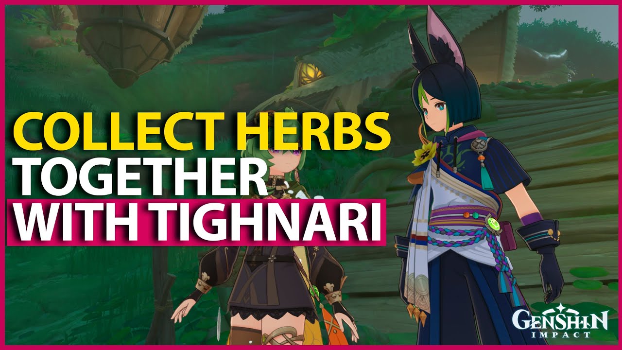 Collect herbs together with Tighnari Genshin Impact Chronic Illness