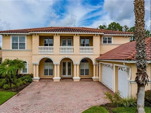 10722 CORY LAKE DRIVE STREET, Tampa, FL home video tour